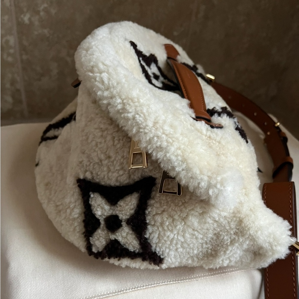 Louis Vuitton Shearling Bumbag - Picture 11 of 12